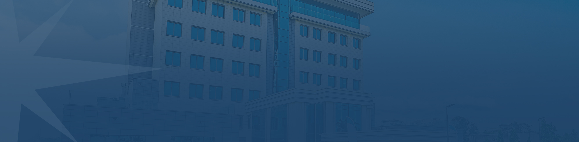 Bannière le groupe BGFIBank